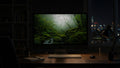 Moss Kingdom wallpaper on a 27-inch display in a dark studio office at night